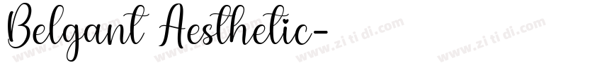 Belgant Aesthetic字体转换